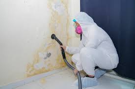 Asbestos and Lead Testing During Mold Inspection in Welby, CO